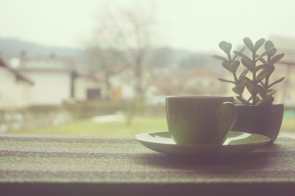 A green cup of coffee sits beside a succulent plant with a blurred outdoor background. This serene outdoor scene evokes a sense of peace and relaxation, promoting a minimalistic and nature-inspired lifestyle.